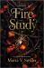 Fire Study : A Novel