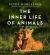 The Inner Life of Animals: the Illustrated Edition