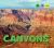 Canyons Canyons