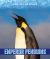 Emperor Penguins