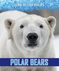 Polar Bears