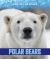 Polar Bears