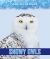 Snowy Owls Snowy Owls