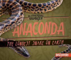 Anaconda: the Largest Snake on Earth