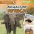 Animals of Africa