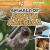 Animals of South America