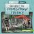 Q and a about the Jamestown Colony