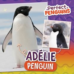 Adélie Penguin