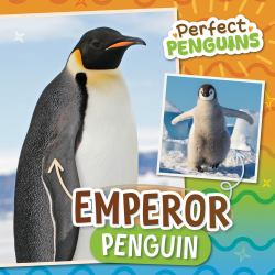 Emperor Penguin