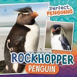 Rockhopper Penguin