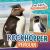 Rockhopper Penguin