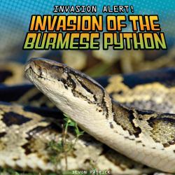 Invasion of the Burmese Python