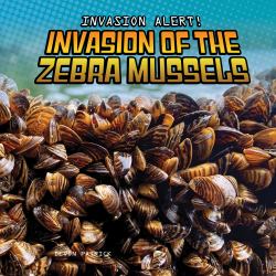 Invasion of the Zebra Mussels