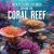 Explore the Coral Reef