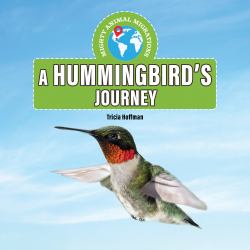 A Hummingbird's Journey