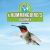 A Hummingbird's Journey A Hummingbird's Journey