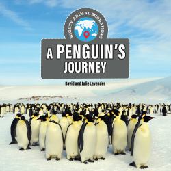 A Penguin's Journey