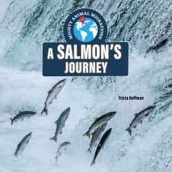 A Salmon's Journey