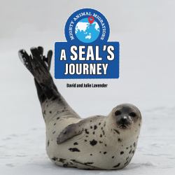A Seal's Journey