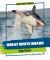 Great White Shark