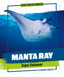 Manta Ray