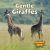 Gentle Giraffes Gentle Giraffes