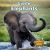 Little Elephants