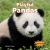 Playful Pandas