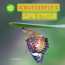 A Butterfly's Life Cycle