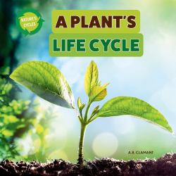 A Plant's Life Cycle