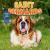 Saint Bernards Saint Bernards