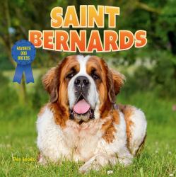 Saint Bernards