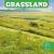 Grassland