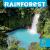 Rainforest