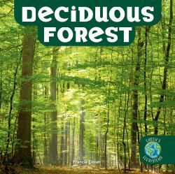 Deciduous Forest
