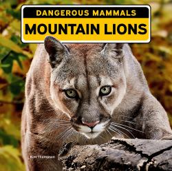 Mountain Lions