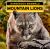 Mountain Lions Mountain Lions