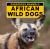 African Wild Dogs