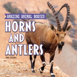 Horns and Antlers