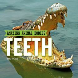 Teeth