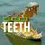 Teeth