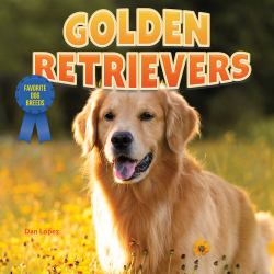 Golden Retrievers