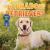 Labrador Retrievers Labrador Retrievers
