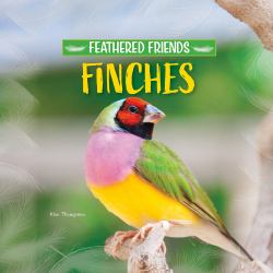 Finches