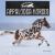 Appaloosa Horses Appaloosa Horses