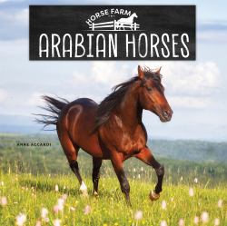 Arabian Horses
