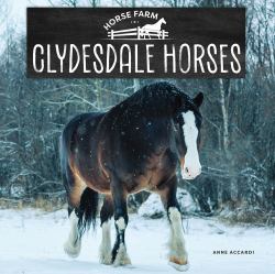 Clydesdale Horses