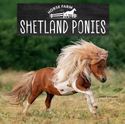 Shetland Ponies