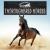 Thoroughbred Horses