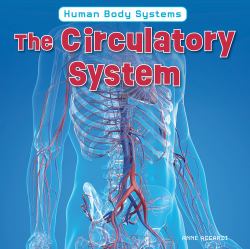 The Circulatory System